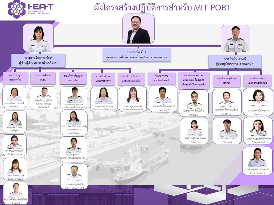 mit organize chart