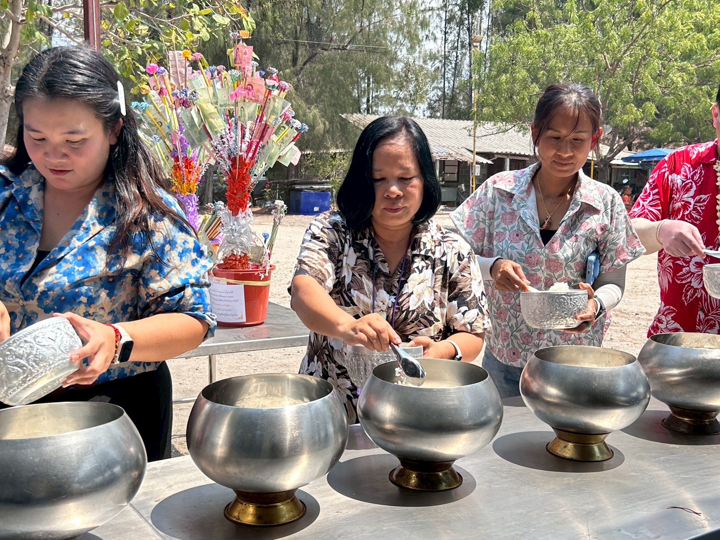 LINE ALBUM 20469 260420 2