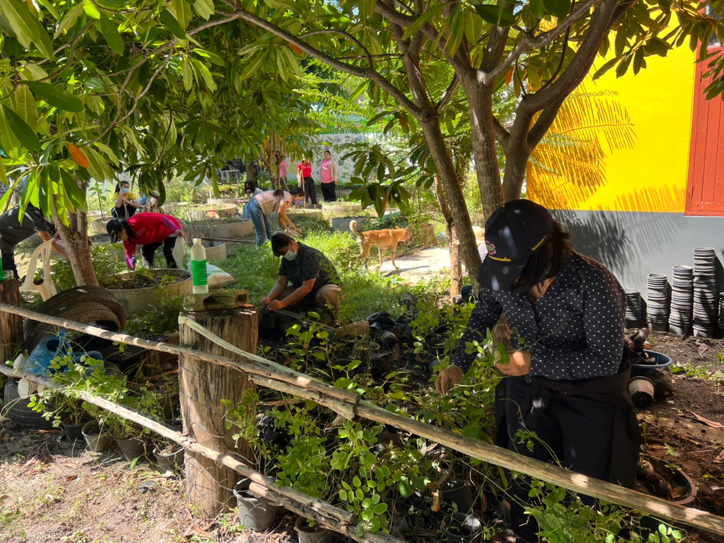 LINE ALBUM ทำความสะอาด รี.วัดตากวน ๒๑๑๐๒๖ 8