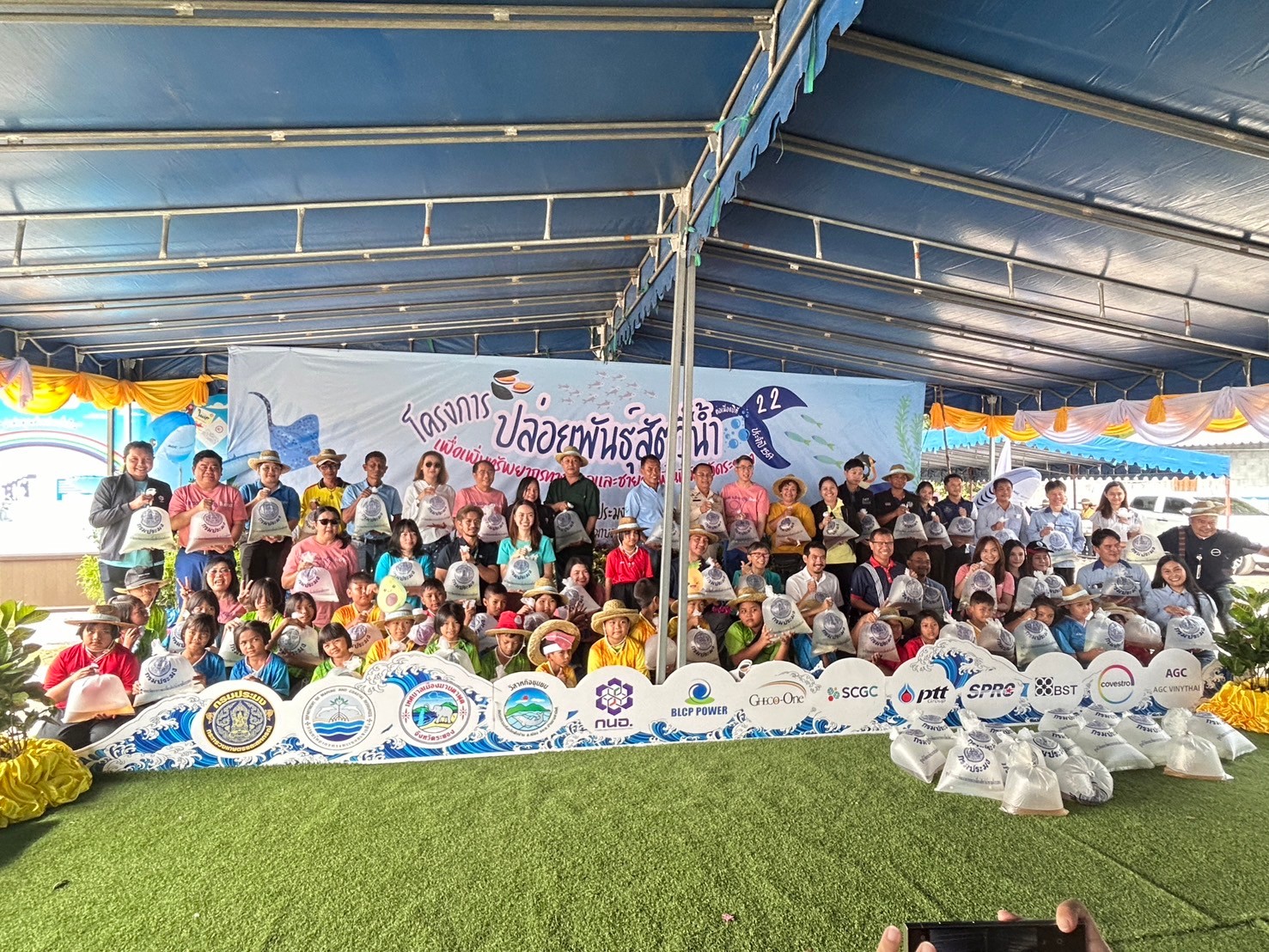 LINE ALBUM 41267 241204 40